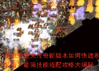 ��ְҵ��ʧ�����°汾��ο���ˢװ������ǿ���ܴ��乥�Դ����