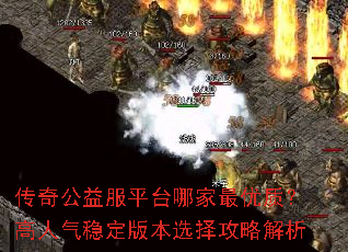 ���湫���ƽ̨�ļ������ʣ��������ȶ��汾ѡ���Խ���