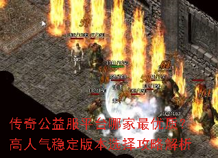 ���湫���ƽ̨�ļ������ʣ��������ȶ��汾ѡ���Խ���