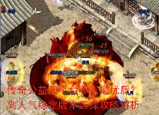 ���湫���ƽ̨�ļ������ʣ��������ȶ��汾ѡ���Խ���