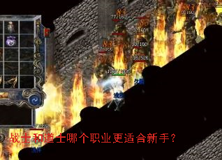 战士和道士哪个职业更适合新手? 战士和道士哪个职业更适合新手?