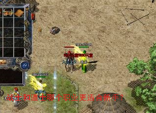 战士和道士哪个职业更适合新手? 战士和道士哪个职业更适合新手?