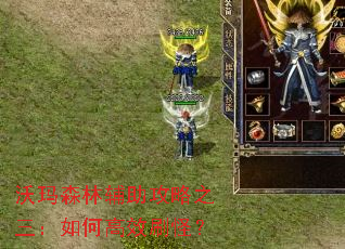 ����ɭ�ָ�������֮������θ�Чˢ�֣�