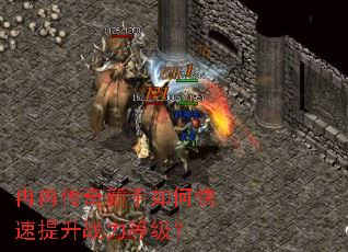 冉冉传奇新手如何快速提升战力等级? 冉冉传奇新手如何快速提升战力等级?