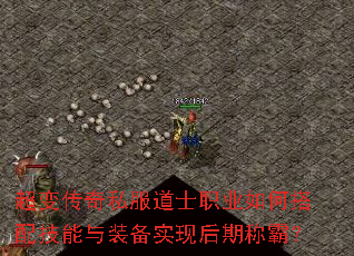 ���䴫��˽����ʿְҵ��δ��似����װ��ʵ�ֺ��ڳưԣ�