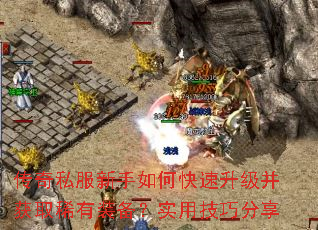 传奇私服新手如何快速升级并获取稀有装备?实用技巧分享 传奇私服新手如何快速升级并获取稀有装备?实用技巧分享