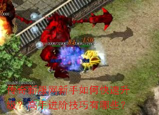 传奇新服网新手如何快速升级?高手进阶技巧有哪些? 传奇新服网新手如何快速升级?高手进阶技巧有哪些?