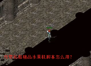 传奇私服精品水果机脚本怎么用? 传奇私服精品水果机脚本怎么用?
