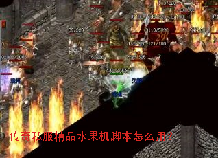 传奇私服精品水果机脚本怎么用? 传奇私服精品水果机脚本怎么用?