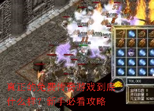 真正的免费传奇游戏到底什么样?新手必看攻略 真正的免费传奇游戏到底什么样?新手必看攻略