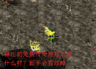 真正的免费传奇游戏到底什么样?新手必看攻略 真正的免费传奇游戏到底什么样?新手必看攻略