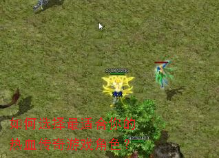 ���ѡ�����ʺ������Ѫ������Ϸ��ɫ��