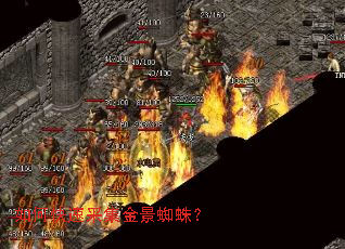 ��ο��ٲɼ���֩�룿