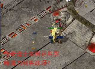 �����ʿ������úڰ�ħ����ʤս����