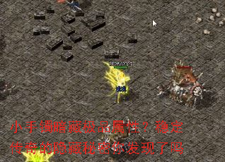 С�������ؼ�Ʒ���ԣ��ȶ���������������㷢������