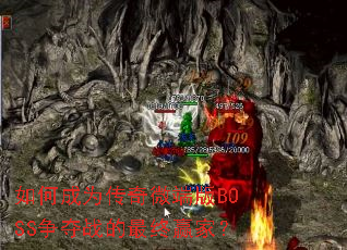 ��γ�Ϊ����΢�˰�BOSS����ս������Ӯ�ң�