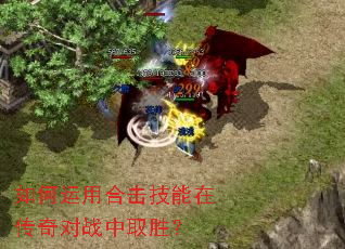 ������úϻ������ڴ����ս��ȡʤ��