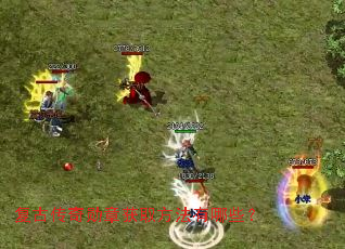 ���Ŵ���ѫ�»�ȡ��������Щ��