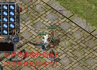 ��ο�����������2.5D�����ɫս������