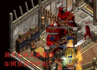 ��ɫʯͷ����������λ�ȡ��������