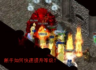 新手如何快速提升等级? 新手如何快速提升等级?