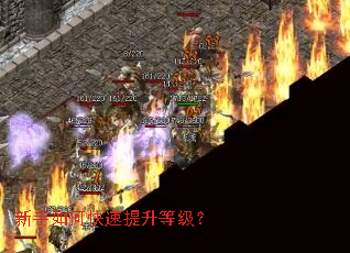 新手如何快速提升等级? 新手如何快速提升等级?