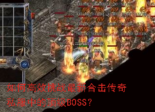 ��θ�Ч��ս���ºϻ�����˽���еĶ���BOSS��