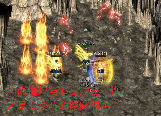 ���н�ʬ��ʯĹʬ����˭����ʯĹ������ذ�����