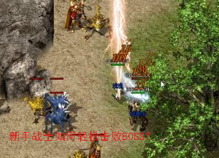 ����սʿ������ɻ���BOSS��