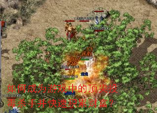 ��γ�Ϊ��Ϸ�еĶ���Ͷ��ɱ�ֲ����ٻ��۲Ƹ���