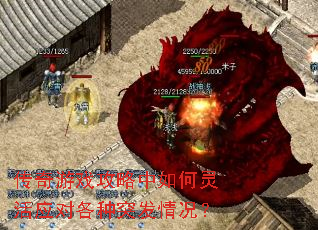 ������Ϸ������������Ӧ�Ը���ͻ�������