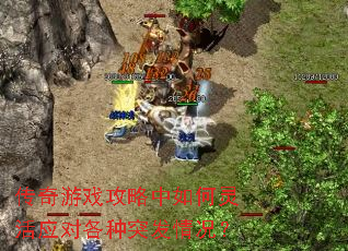 ������Ϸ������������Ӧ�Ը���ͻ�������