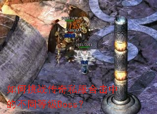 �����ս����˽���ϻ��еĲ�ͬ�ȼ�Boss��