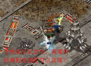 ��������淨�У�����Щ����ְҵ�������ѡ��