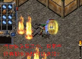 ��������淨�У�����Щ����ְҵ�������ѡ��