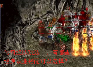 ��������淨�У�����Щ����ְҵ�������ѡ��