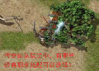 ��������淨�У�����Щ����ְҵ�������ѡ��