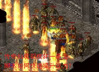 �����ɾ��Ѻ�SFһ�����ű���ο�������ս����