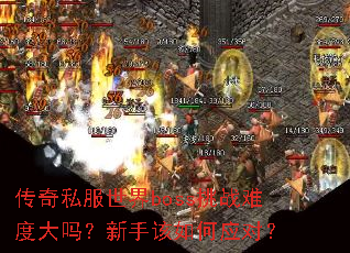 ����˽������boss��ս�Ѷȴ������ָ����Ӧ�ԣ�