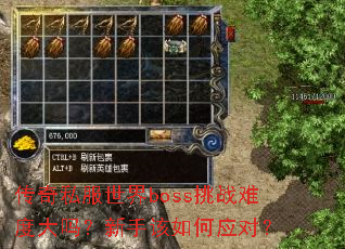 ����˽������boss��ս�Ѷȴ������ָ����Ӧ�ԣ�