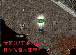 ����3ʬ������ھ���λ�������