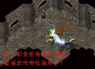 �ĸ�ְҵ����ܴ������ǿ�Ĵ���˽����ɫ��