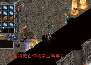 ����ٻ����������ɱ�����