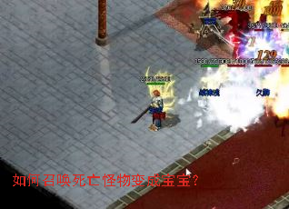 ����ٻ����������ɱ�����