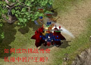 如何成功挑战传奇私服中的尸王殿? 如何成功挑战传奇私服中的尸王殿?