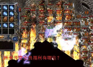 �¿������Ա��������Щ��