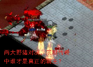 两大野猪对决,沉默传奇中谁才是真正的霸主? 两大野猪对决,沉默传奇中谁才是真正的霸主?