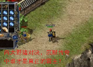 两大野猪对决,沉默传奇中谁才是真正的霸主? 两大野猪对决,沉默传奇中谁才是真正的霸主?