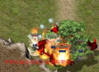 传奇私服经典职业套装有哪些? 传奇私服经典职业套装有哪些?