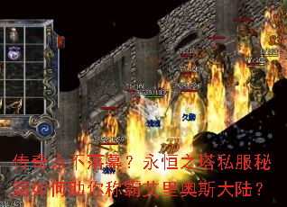 ����������Ļ������֮��˽���ؼ��������ư԰����˹��½��